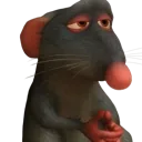 remythejudge