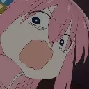 wt