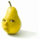 thefruitofpainandsuffering