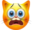 catdespair catdespair