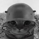 Cat_War