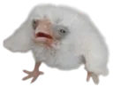 justabebe