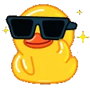 coolduck