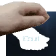 petCourt petCourt