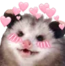 possumblush possumblush