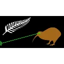 flag_nz flag_nz