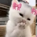 cute