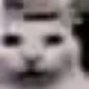 uy