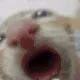 suckcam