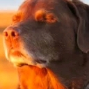 :Imcooked: