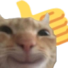 :catstare_thumbsup:
