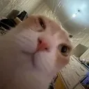 wink