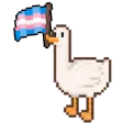 pridetransgoose