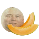 xmelonmusk Discord emoji
