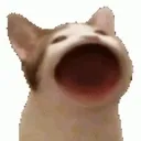 baumnaum
