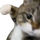 fric