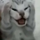 emoji_18