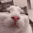 li