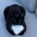 __