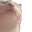 CatDance