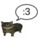 GatoCute custom emote - Roblox LatinoAmerica⭐