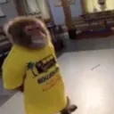 stolenmonke