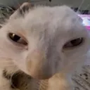 eeee