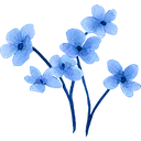 blue_flower1 blue_flower1