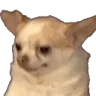 okayboomer