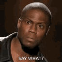 kevinhartsaywhat