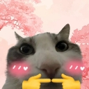 KU_CatStareKawaii Discord emoji