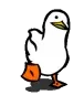 Duck_walk