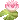 grnlilypad