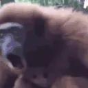Spin