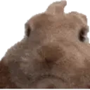VIBEOFF