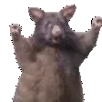Wahfuckinghoo