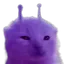 glorpp glorpp