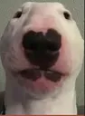 Screenshot20250419214627 Screenshot20250419214627