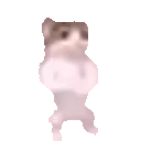 catpls