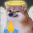 angeldog