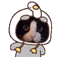 mertshake