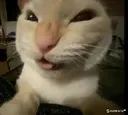 Mwehehehe