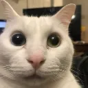 My_Huh_reaction