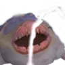 cumduke cumduke