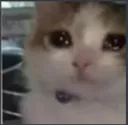 GF_Dukhi
