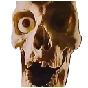 skully