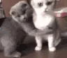 3a_car_hug