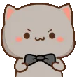 coolkitty