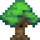 arbol