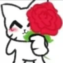 gato_rose